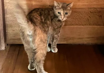MOUMOUNE