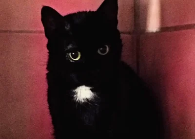 BLACKI